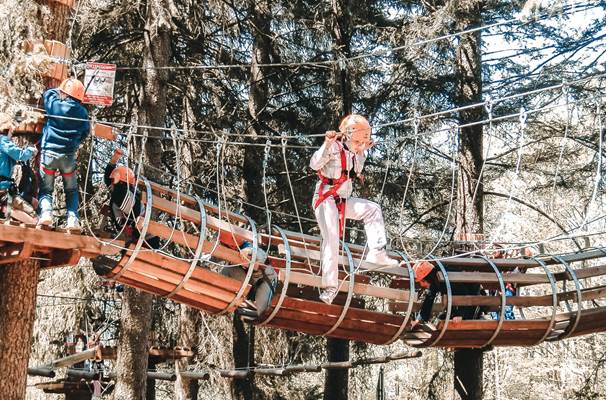 Parco avventura Vezza D’oglio: bambini si divertono tra gli alberi Parco avventura Vezza D’oglio: bambini si divertono tra gli alberi