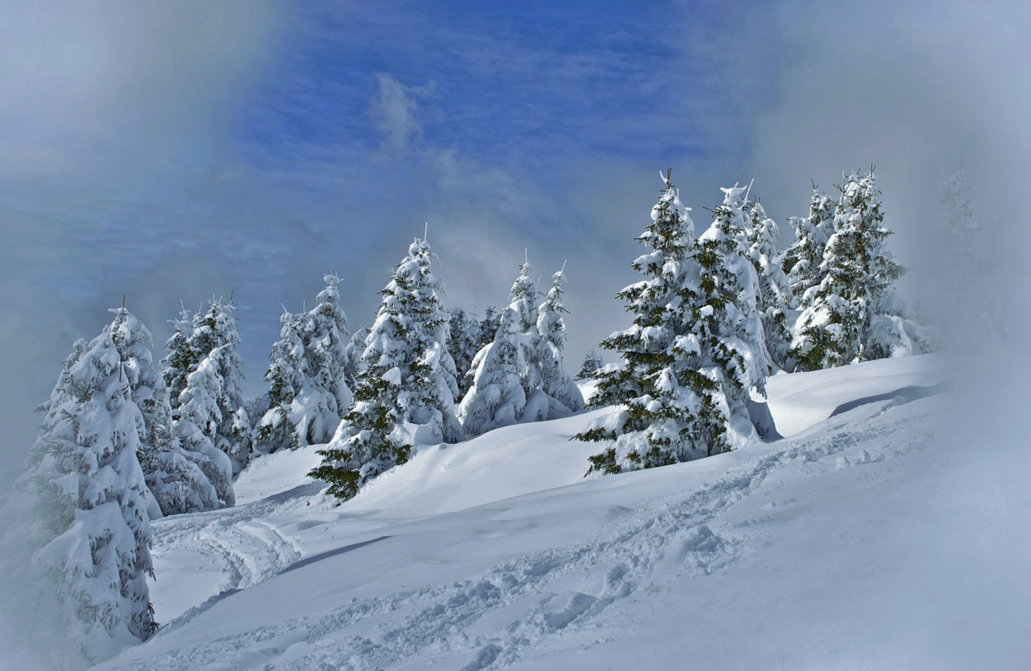 Tonale 11