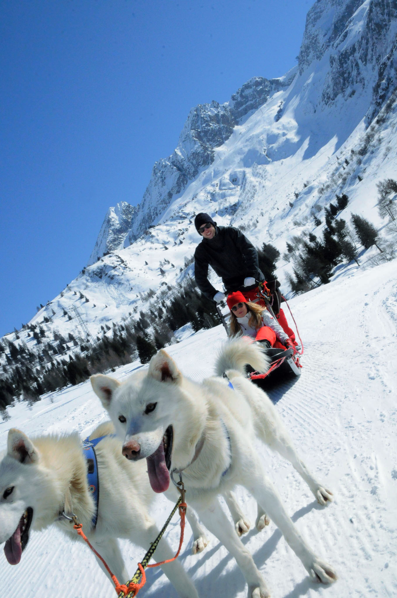 Sleddog (Ph. Graziano Filippini (2)