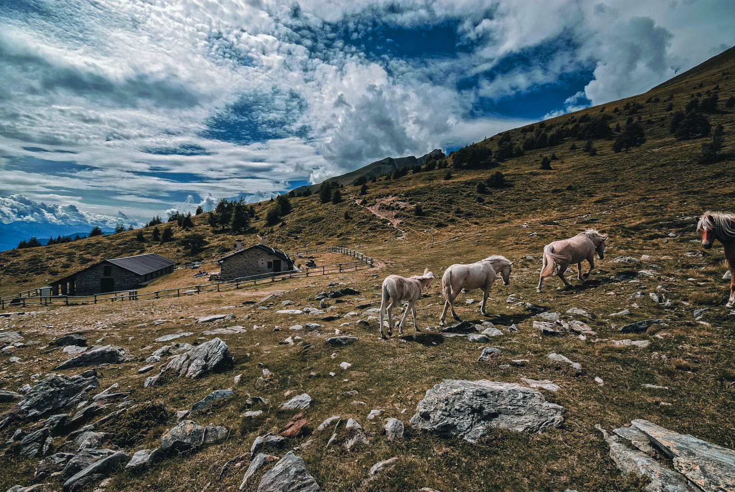 Territorio_estate_ghiacciaio_parchi_valli_02.jpg