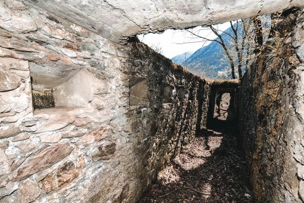Facile escursione storico-culturale alle trincee del Davenino. A seguire, visita al Museo della Guerra Bianca in Adamello Facile escursione storico-culturale alle trincee del Davenino. A seguire, visita al Museo della Guerra Bianca in Adamello