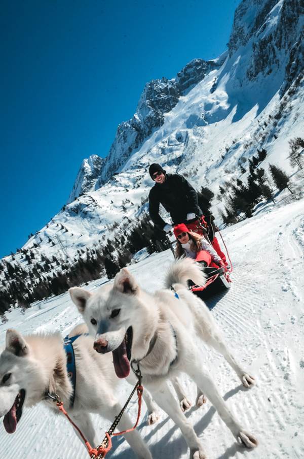 Turisti pronti per un giro con i cani da slitta in Trentino Turisti pronti per un giro con i cani da slitta in Trentino