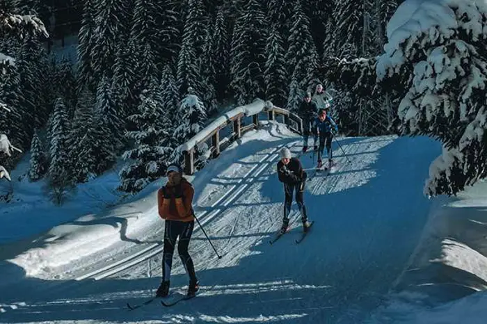 Sci Di Fondo Ski Area Tonale