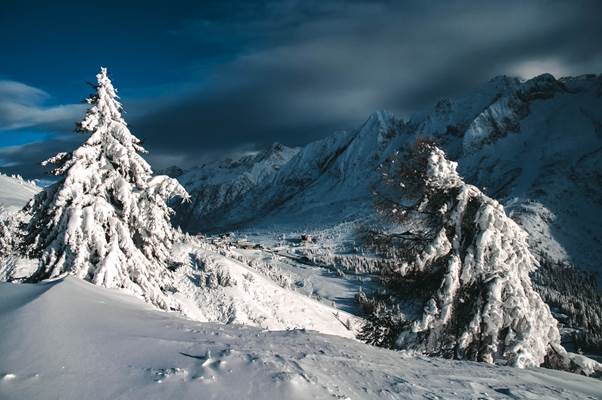 I paesaggi innevati che si vedono sull'Adamello durante le escursioni I paesaggi innevati che si vedono sull'Adamello durante le escursioni