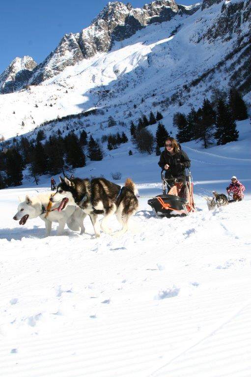 Sleddog Sleddog