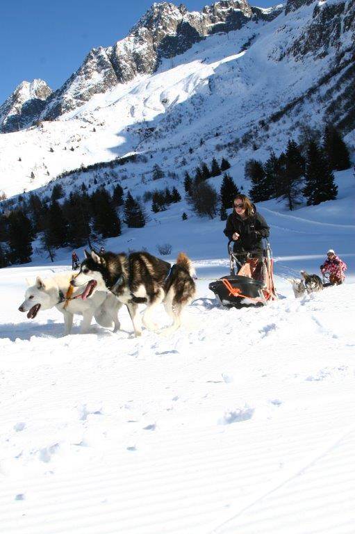 Dog sledding