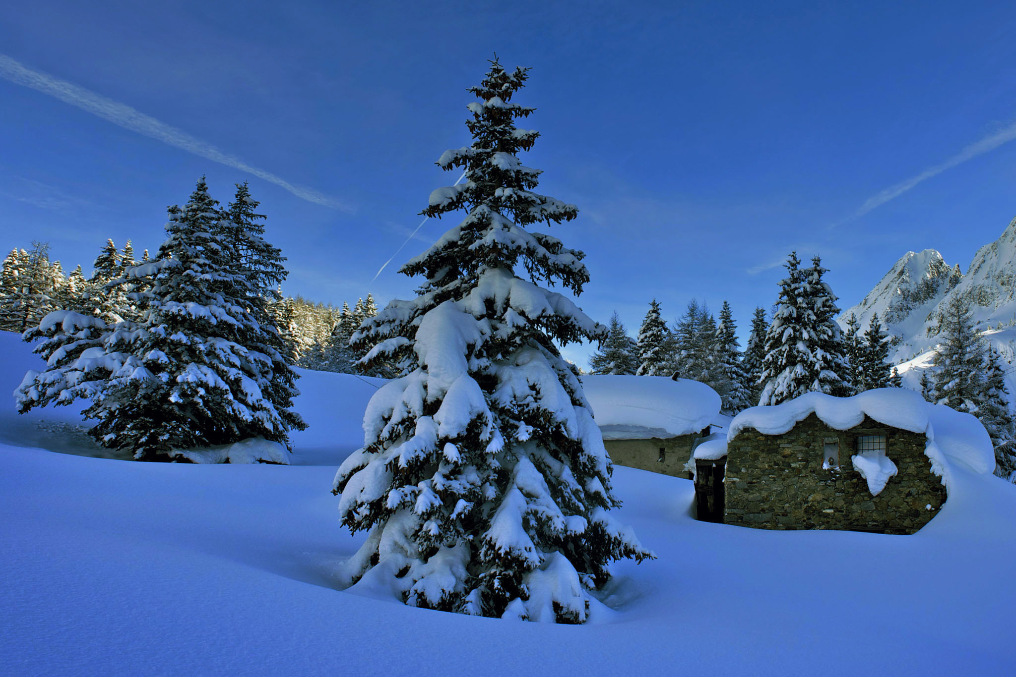Tonale 12