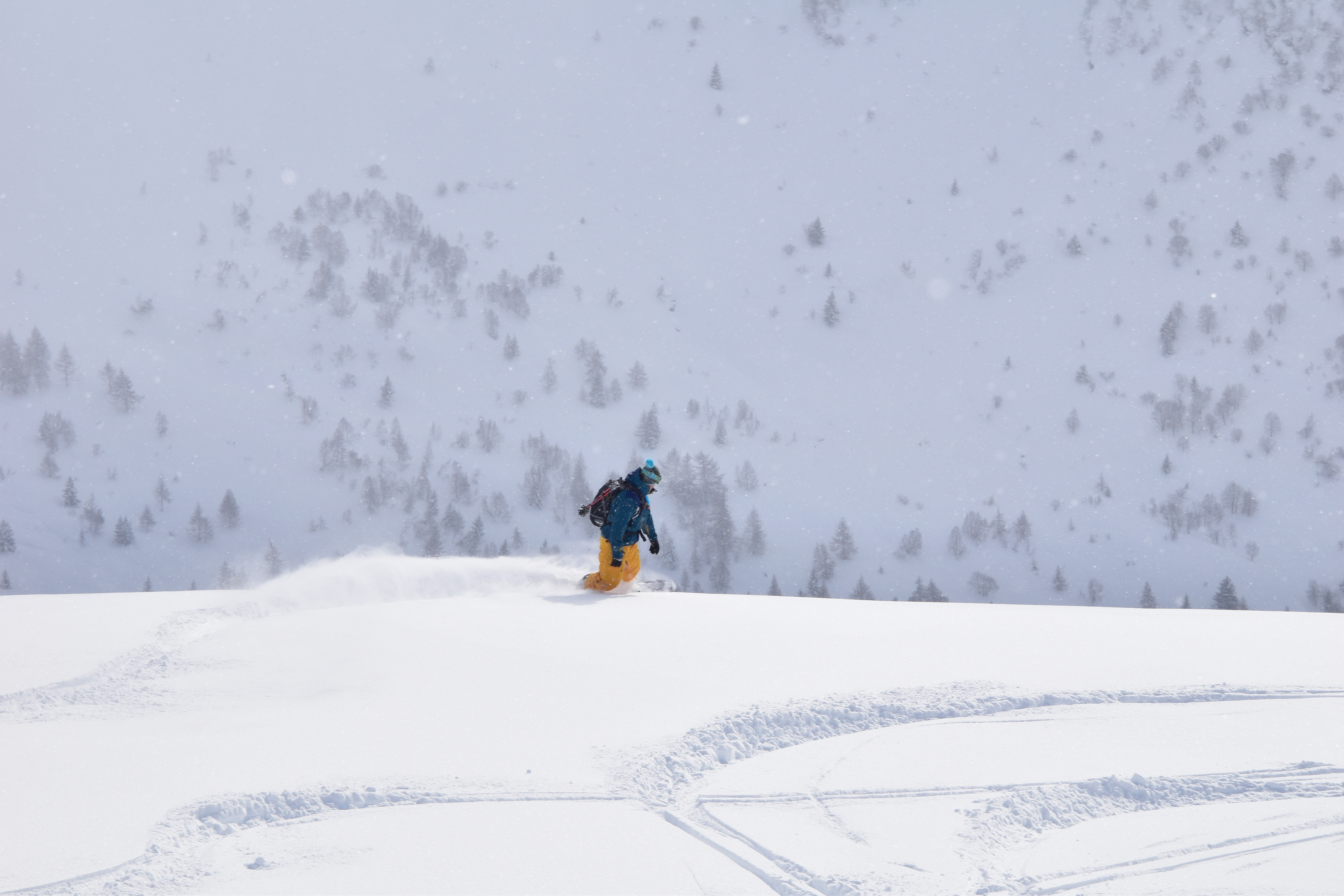 Fun And Snow