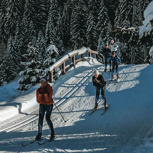 Sciatori lungo la pista da fondo della ski area Tonale