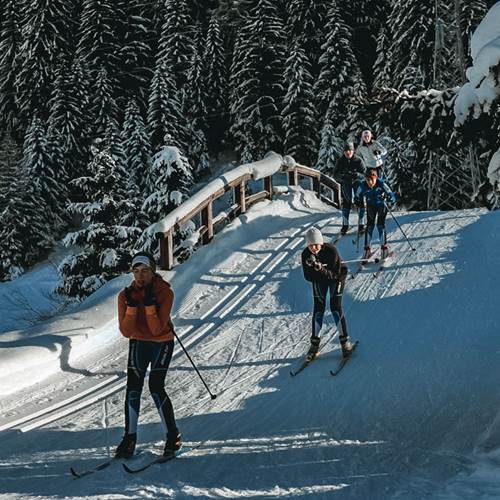 Sciatori lungo la pista da fondo della ski area Tonale Sciatori lungo la pista da fondo della ski area Tonale