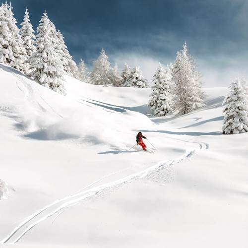 Passo Tonale Passo Tonale