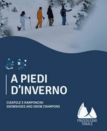 A Piedi D Inverno Copertina Web