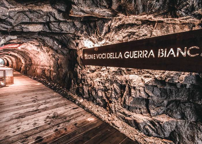 Multimedia Gallery Multimedia Gallery