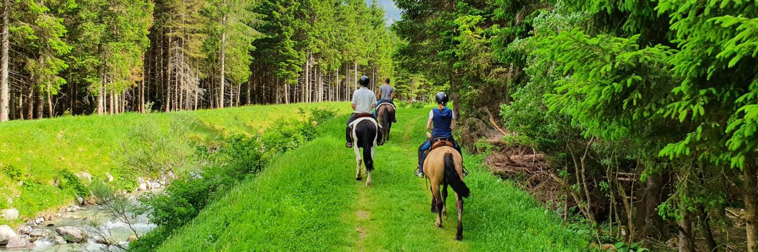 Passeggiata a cavallo Passeggiata a cavallo