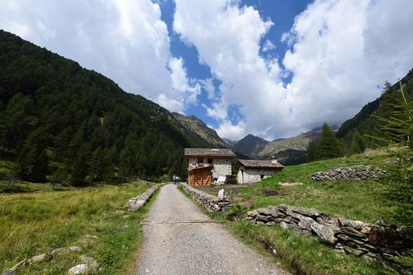 Alla scoperta della Valle delle Messi e del Rifugio Valmalza Alla scoperta della Valle delle Messi e del Rifugio Valmalza