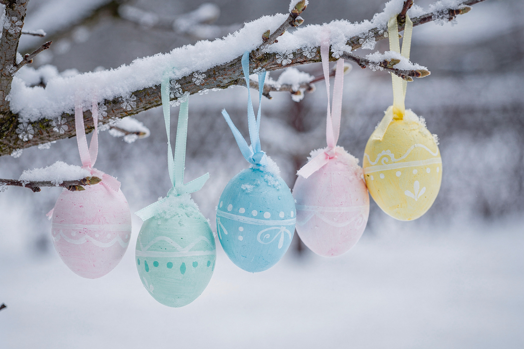 Sorpresa Di Pasqua (1)