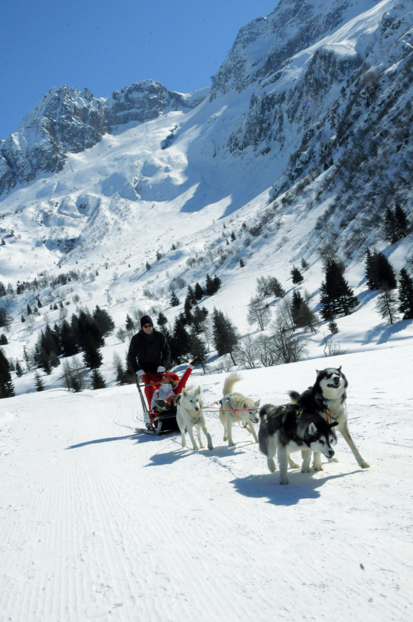 Sleddog (Ph. Graziano Filippini) (1)