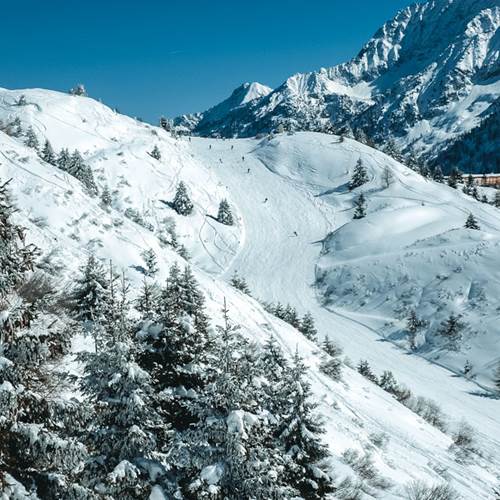 Le meravigiose piste della ski area Ponte di Legno Tonale Le meravigiose piste della ski area Ponte di Legno Tonale