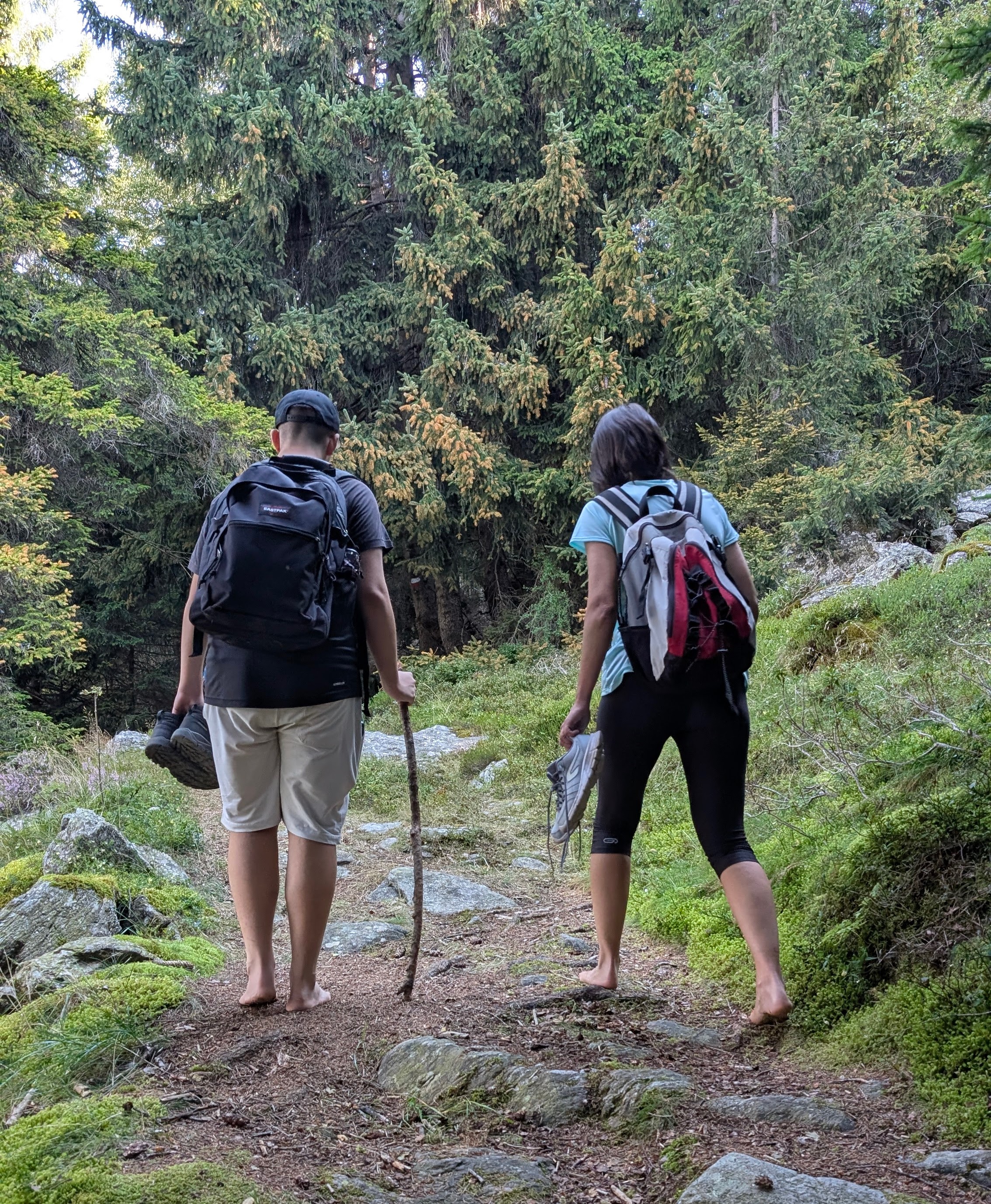 Barefoot & Forest
