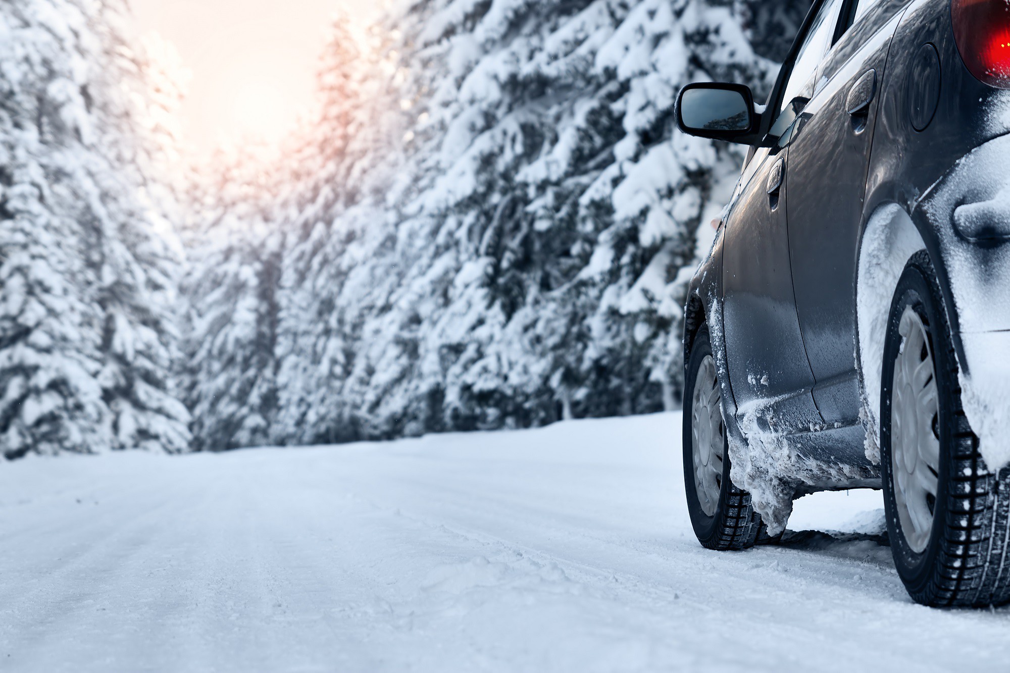 Auto Neve