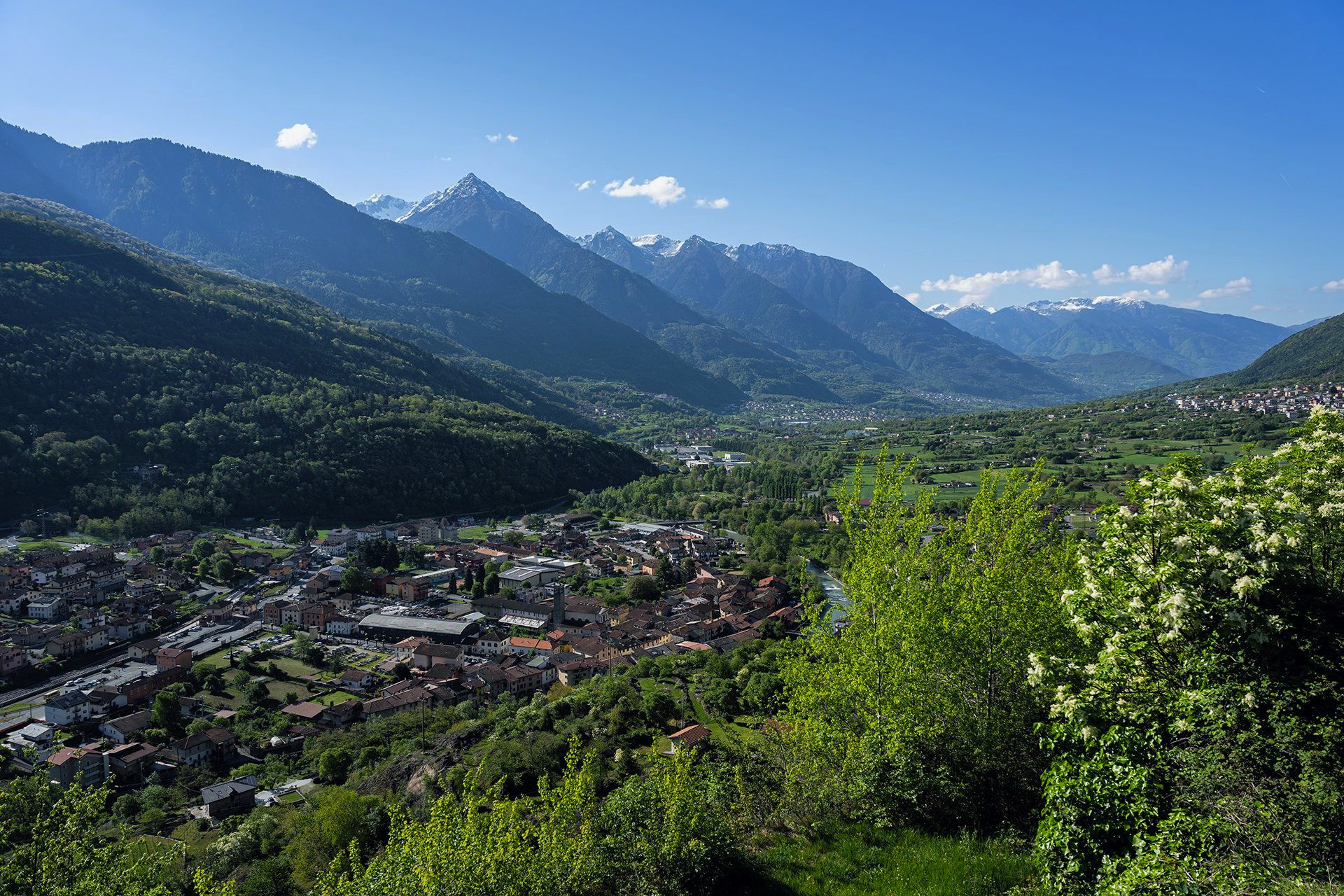 Scopri