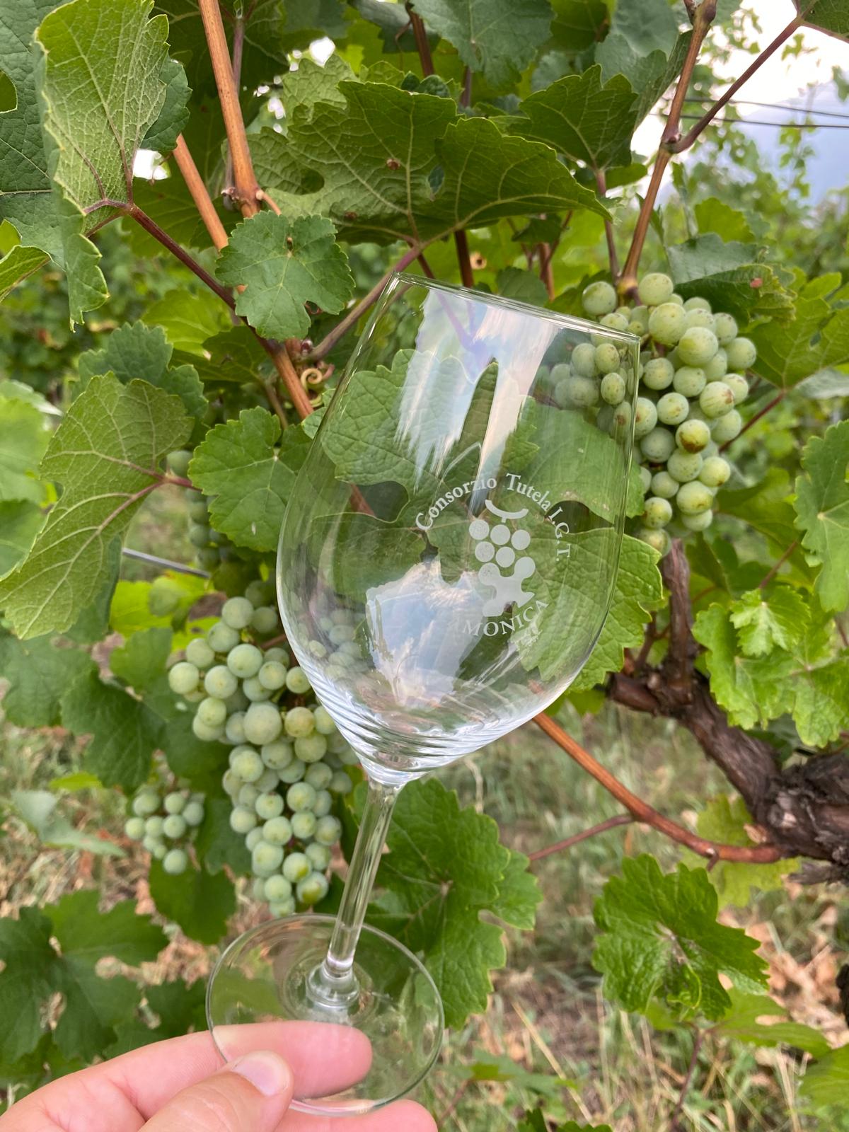 Wine festival