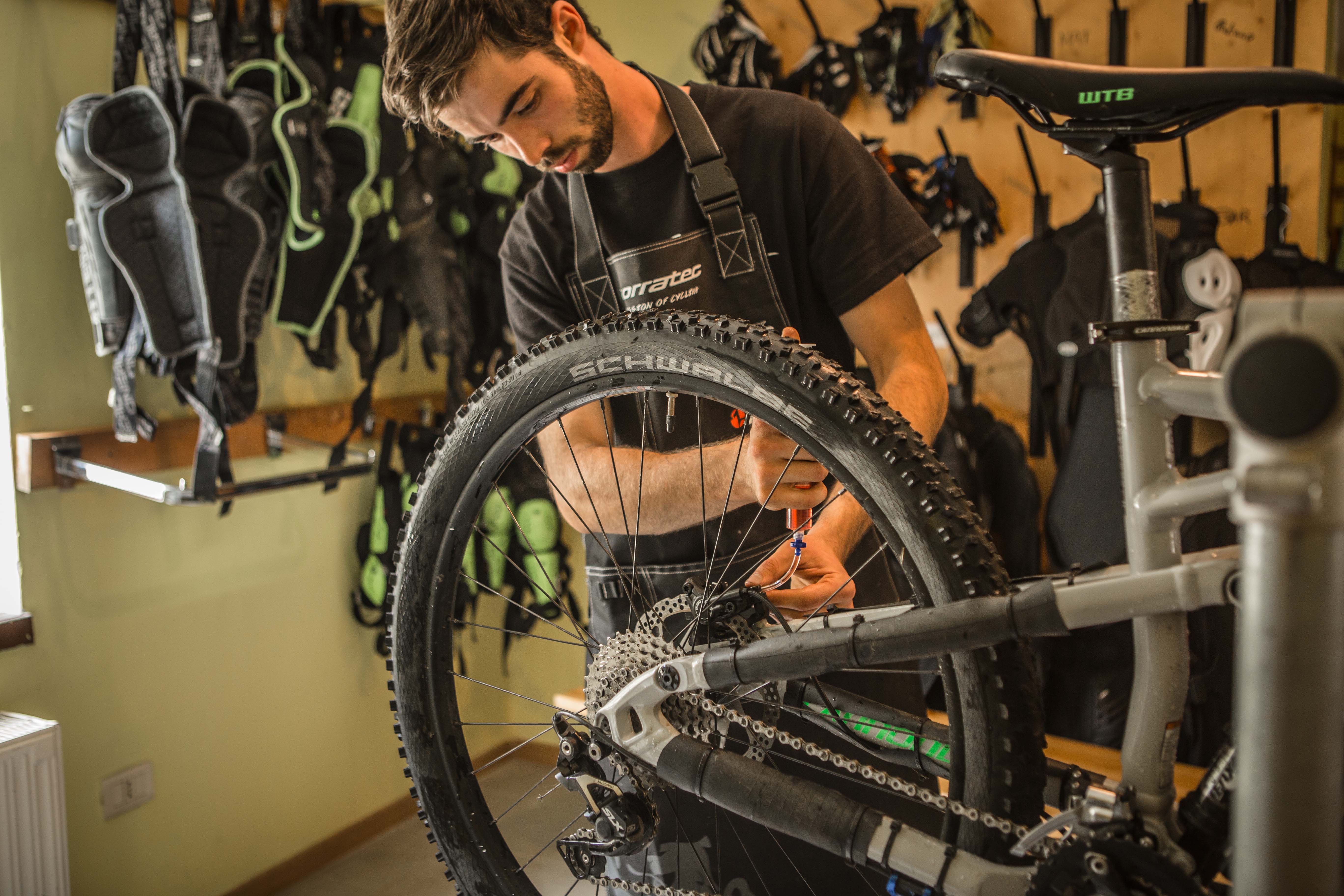 Noleggi, negozi e scuole