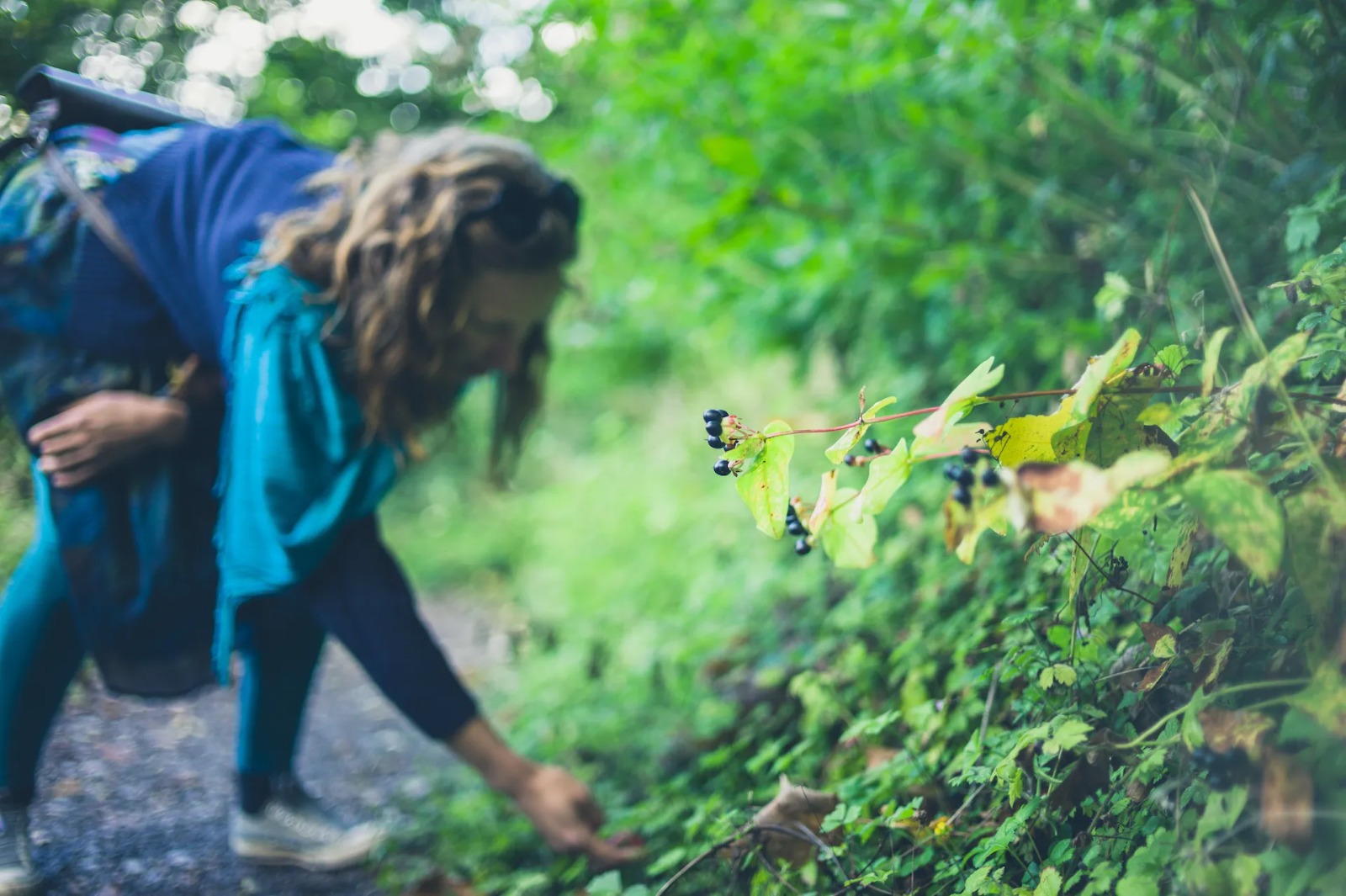 FORAGING: UN'EXPERIENCE PRIMITIVA 