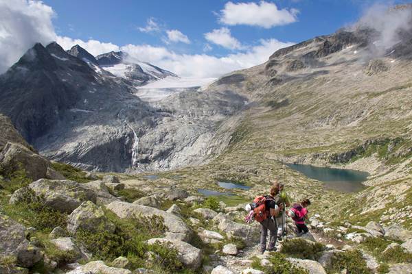 Alla scoperta del Ghiacciaio Presena e della sua storia e discesa lungo il Sentiero della Pace Alla scoperta del Ghiacciaio Presena e della sua storia e discesa lungo il Sentiero della Pace