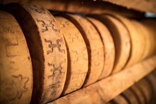 Merenda del Casaro a Case di Viso con passeggiata Merenda del Casaro a Case di Viso con passeggiata