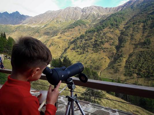 Visita guidata all’Area Faunistica per famiglie con laboratorio didattico “Orsi e lupi… mi sentite?” Visita guidata all’Area Faunistica per famiglie con laboratorio didattico “Orsi e lupi… mi sentite?”