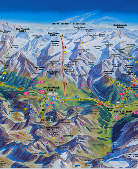 Cover Skimap Summer Map