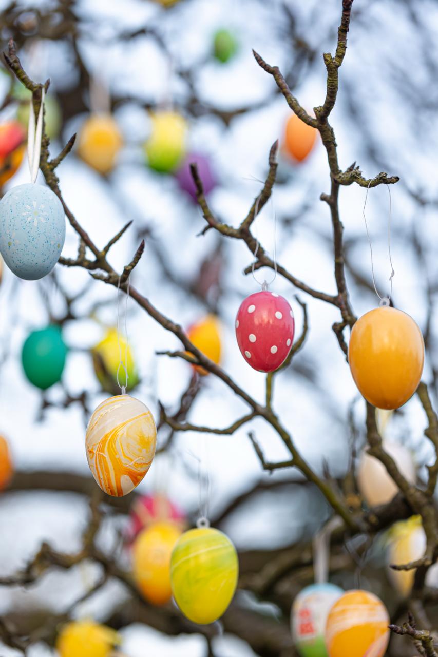 SORPRESA DI PASQUA