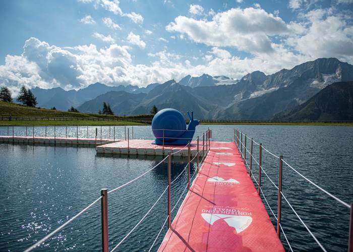 All Summer long All Summer long