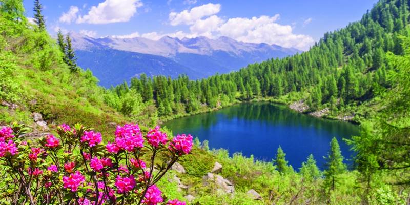 Lago Di Barco – Trekking andar per monti Lago Di Barco – Trekking andar per monti