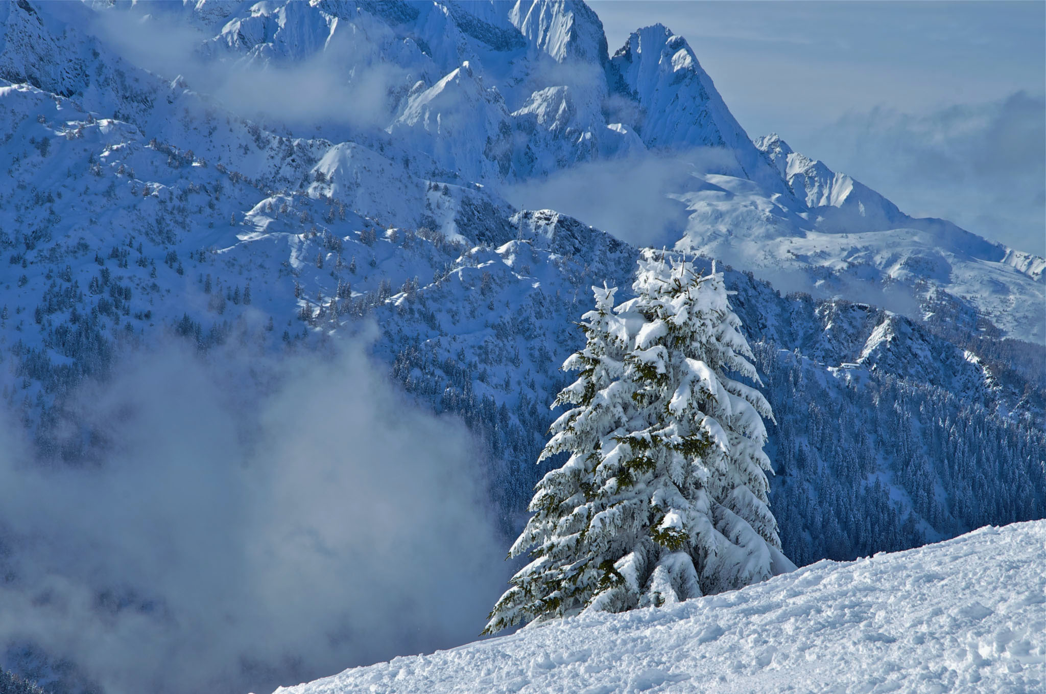 Tonale 18