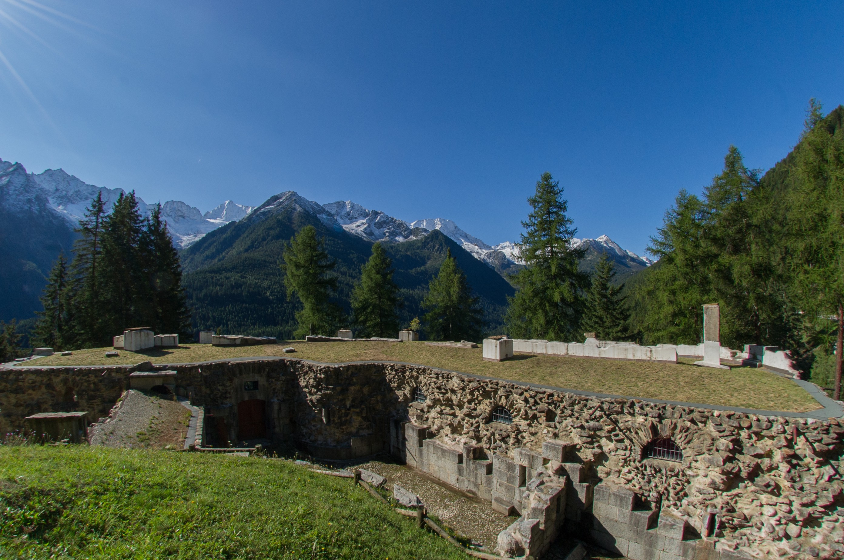 Forti (5)